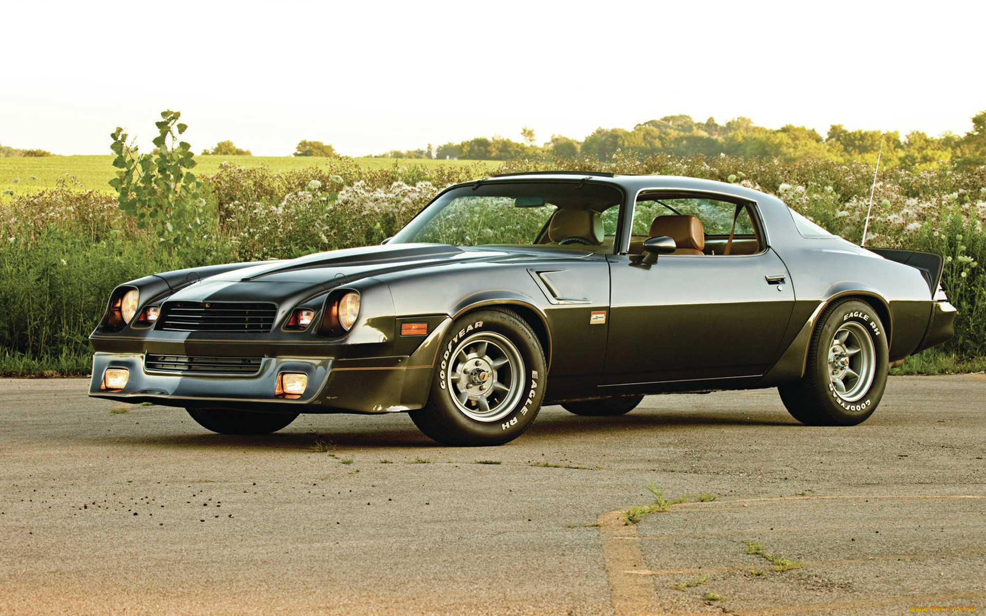 , camaro